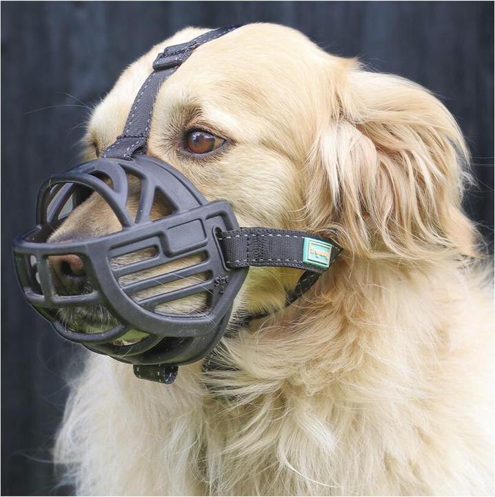 Actual product image Freedog Muzzle Ergo Plus M (M, Dog, General)