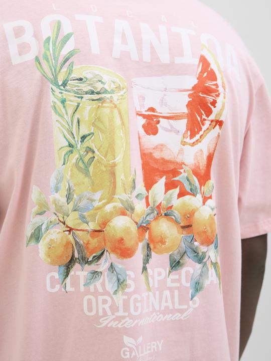 Produktbild Jack & Jones Jorbotaniq Tee Ss Crew Neck Tg Ln (XL)