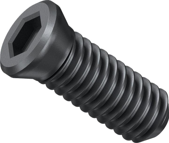 Image du produit Fein Vis de serrage KX, lot de 10