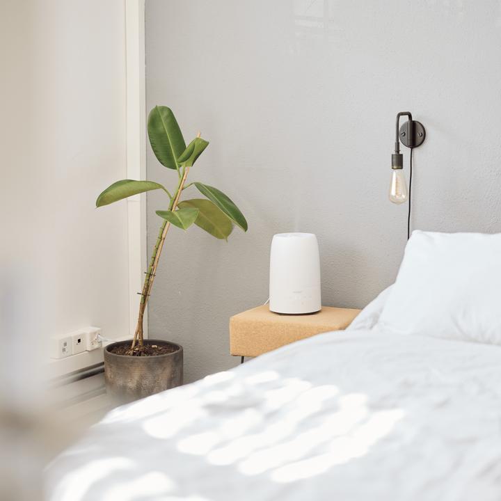 Actual product image ecofort ecoQ HumidAir U250 (35 m²)