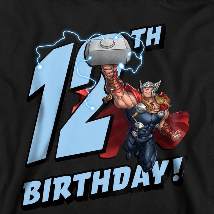 Produktbild Kapuzenpullover 12er Geburstag (116)