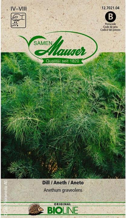 Image du produit Samen Mauser Aneth bio
