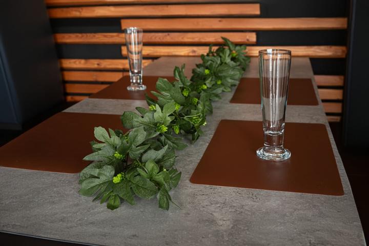 Produktbild Europalms Hopfengirlande, künstlich, 170cm