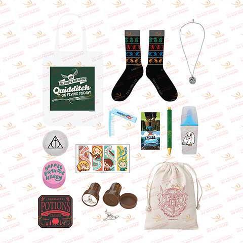 Actual product image Cinereplicas Harry Potter - Calendrier de l'Avent Wizarding World Classic 2023