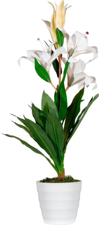 Paperflow LILIENBLUME Kunstpflanze 65,0 cm (65 cm)