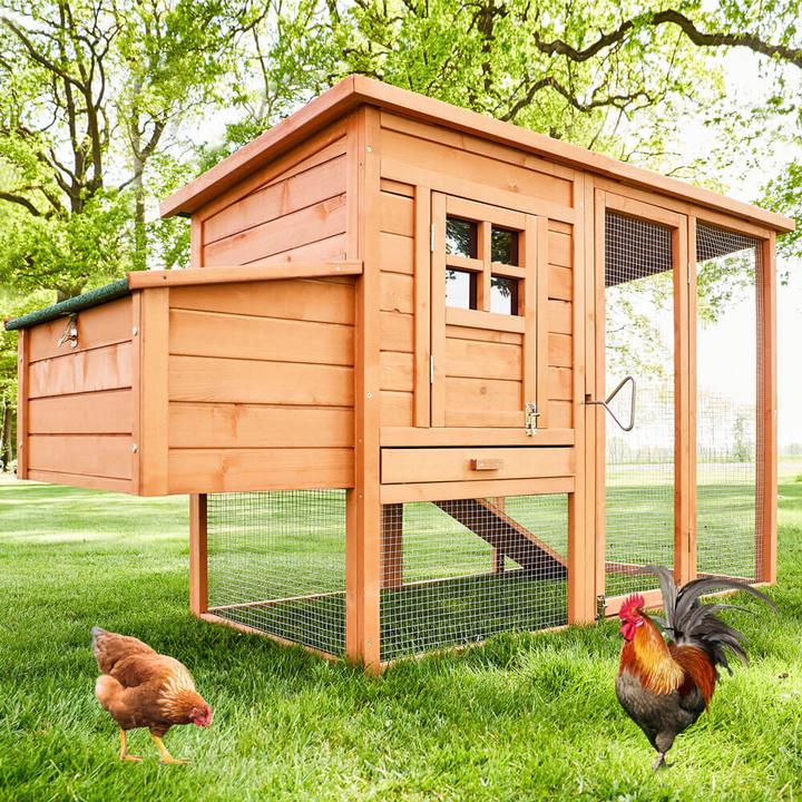Actual product image Jamb Chicken coop XXL