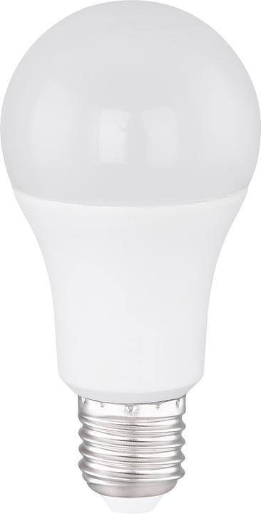 Actual product image Globo LED bulb white 1xE27 LED (E27, 10 W, 10 x, F)