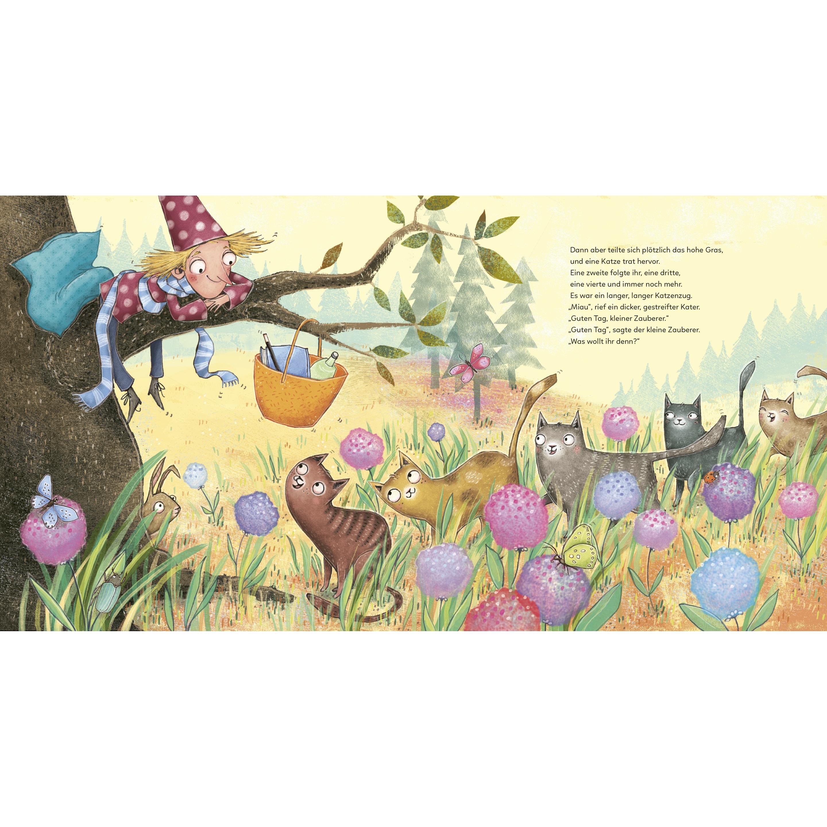 Thumbnail - Der kleine Zauberer und der König der Katzen, Kinderbücher von Gina Ruck-Pauquèt