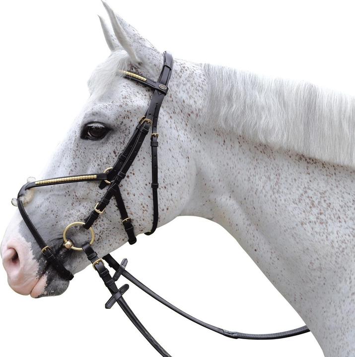 Image du produit Chetak Bridons équitation clencher croisé