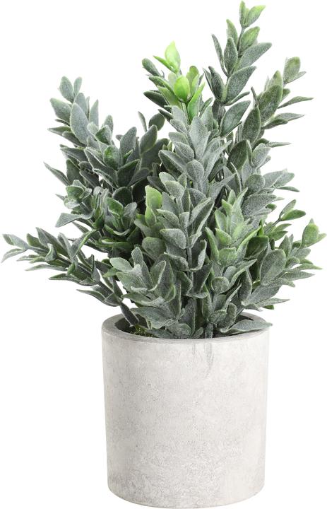 Immagine prodotto EGLO LIVING Chitoso (22 cm)