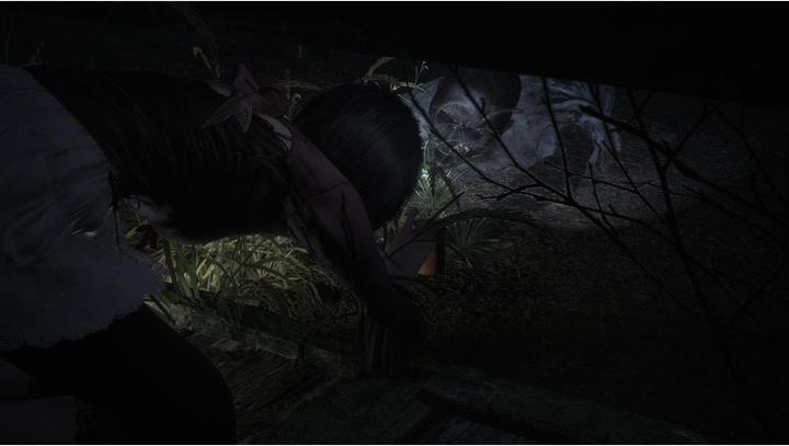 Actual product image Koei Tecmo Fatal Frame II: Crimson Butterfly Remake (PS5, DE)