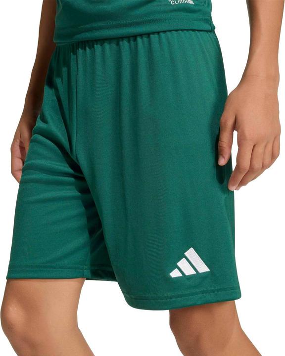Image du produit Adidas Ent26 Sho Y - drkgrn/white (164)