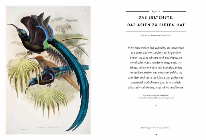 Produktbild Wunderkammer (Deutsch, Thijs Demeulemeester, 2018)
