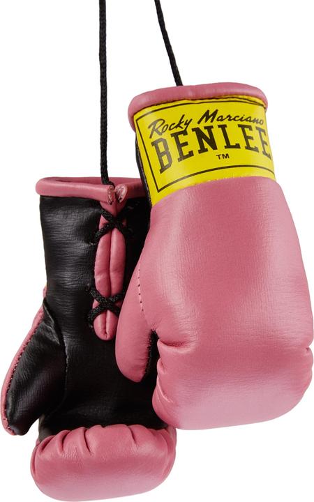 Image du produit Punch Gants de boxe miniature (Taille unique)