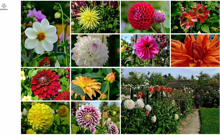 Immagine prodotto Der Garten von Emil Nolde (Tedesco, Magdalena Moeller, 2025)