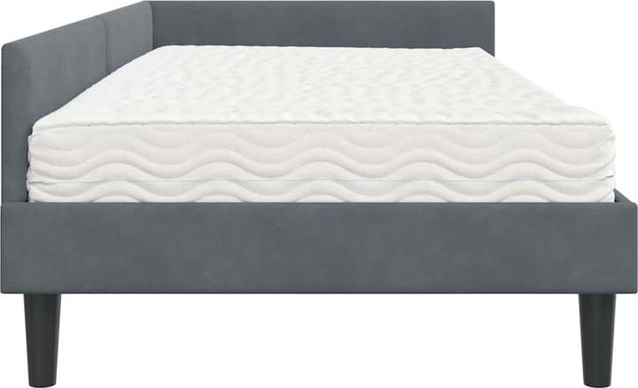 Image du produit vidaXL Samtbett (100 x 200 cm)