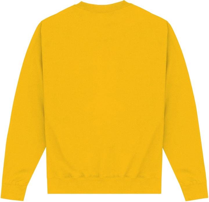 Actual product image Park Fields Unisex Adult Athletics Sweatshirt (S)