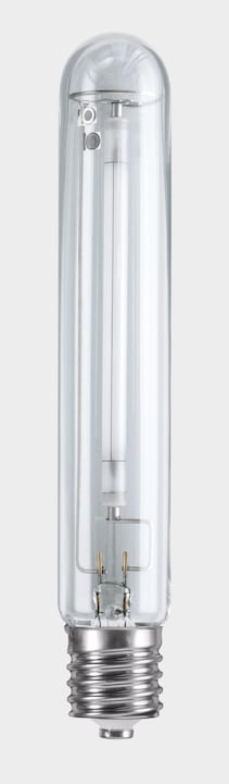 Actual product image Osram PlantaStar 600 W (230 V) (HPS, 230 V)
