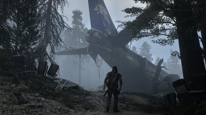 Actual product image Sony Days Gone (PS4, DE)