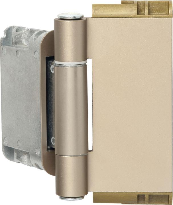 Actual product image SFS Front door hinge Easy 3D pin lock, nickel-plated matt anodised aluminium