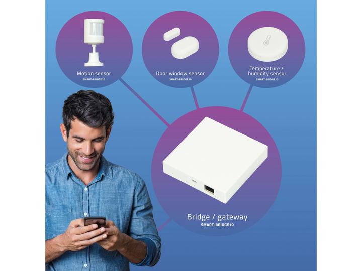 Actual product image Alecto Control unit Smart-Bridge10