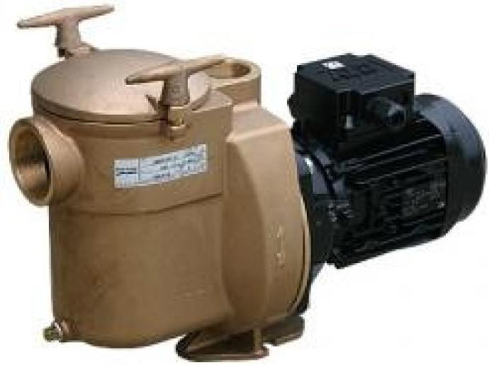 Produktbild Sta-Rite Bronze Pumpe BRF-3 1,5PS 1,1kW 400V