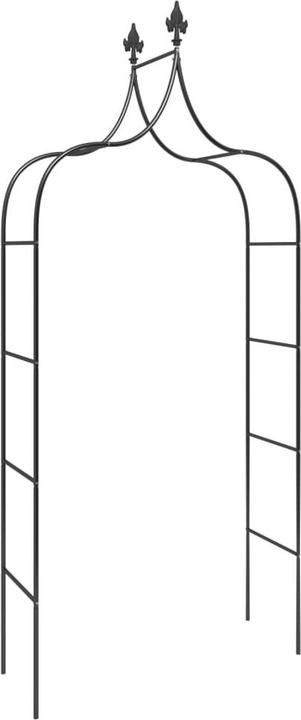 Image du produit vidaXL Gartenbogen (38 cm, 120 cm)