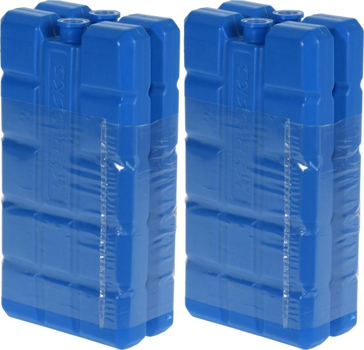 ProWorld Kühlelemente im 4er-Set, Kühlakkus je 200 g