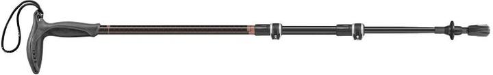 Actual product image Leki Hiking friend Makalu hiking poles (90 - 120 cm)