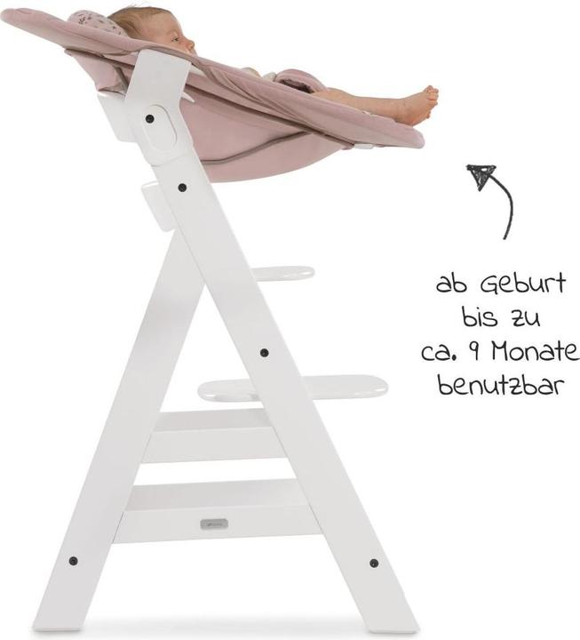 Produktbild Hauck Alpha Bouncer 2in1 Bambi Rose
