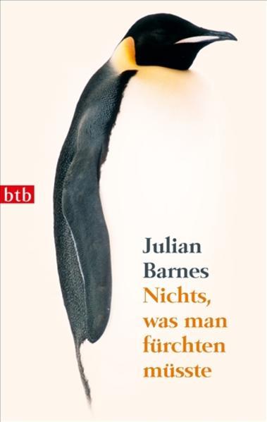 Produktbild Nichts, was man fürchten müsste (Deutsch, Julian Barnes, 2011)