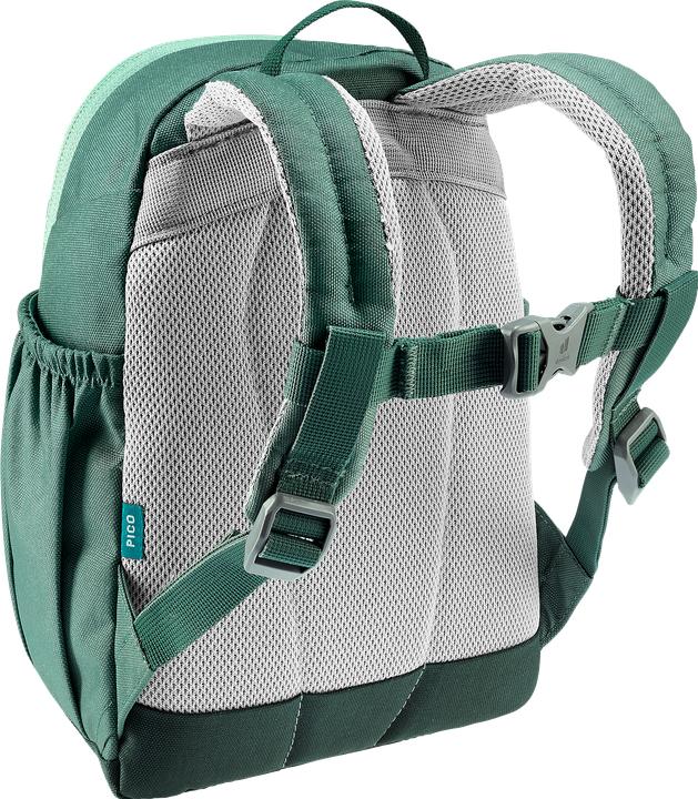 Actual product image Deuter Pico (5 l)