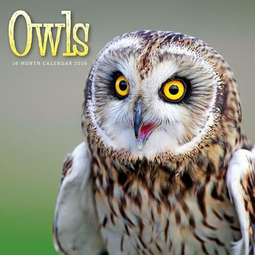 Immagine prodotto Owls Square Wall Sunday Start Calendar 2