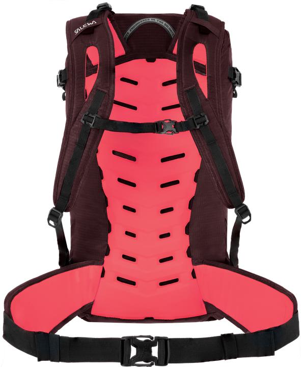 Actual product image Salewa Winter Mate L Backpack Da (28 l)