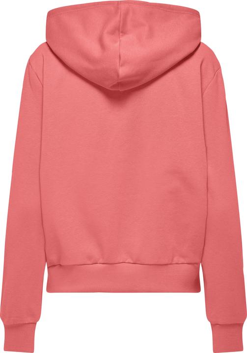 Immagine prodotto Only ONLNOLI Sweatshirt Kapuzenpullover (XL)
