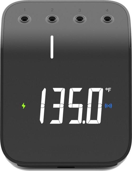 Actual product image Weber Connect Smart