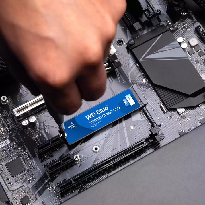 Actual product image WD Blue SN5000 (500 GB, M.2 2280)