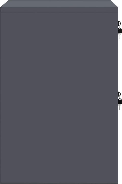 Actual product image vidaXL Büroorganizer (50 x 44 x 74.50 cm)