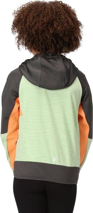 Produktbild Regatta Prenton II Softshelljacke mit Kapuze (116)