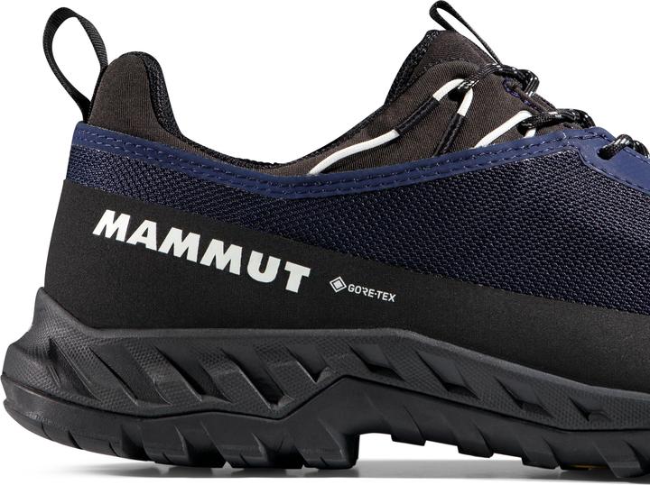 Produktbild Mammut Alnasca IV Low GTX Men (44)
