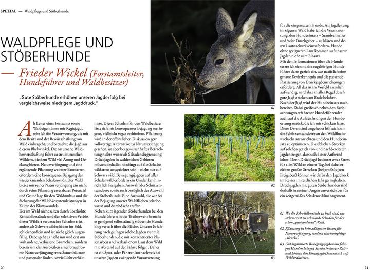 Actual product image Kosmos Jagen mit Stöberhunden (German, Hannah Mittner, Jonathan Mittner, 2025)