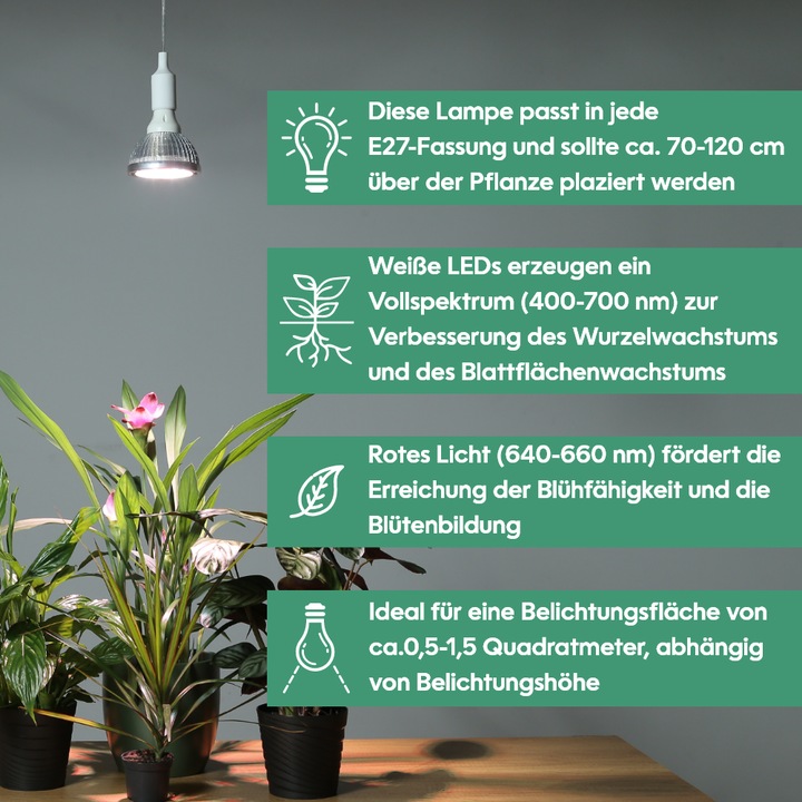 Produktbild Venso Grow Light Standard (LED, 245 V)