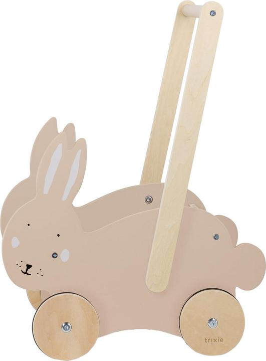 Trixie Baby Learning trolley