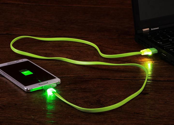 Image du produit NPW EJ Light UP Cà¢ble de charge USB (0.35 m)