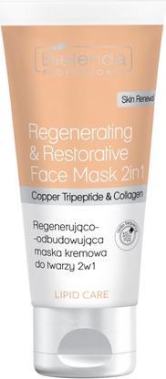 Actual product image NoName Professional Lipid Care Regenerating And Rebuilding Face Mask 150ml (150 ml)