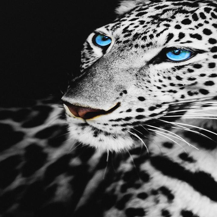 Actual product image Titanwolf Gaming Mouse Pad, 900 x 400mm XXL Speed Gaming Mouse Mat, Mousepad Extra Large Surface, White (XXL)