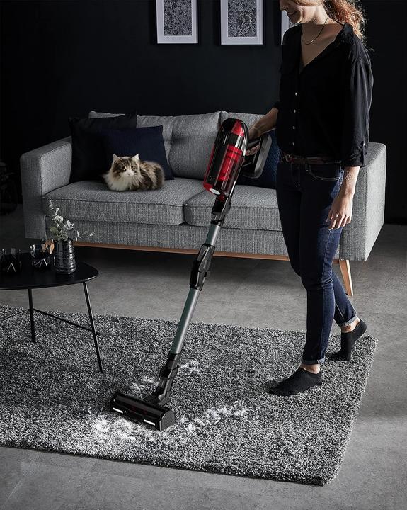 Produktbild Rowenta XForce Flex Animal