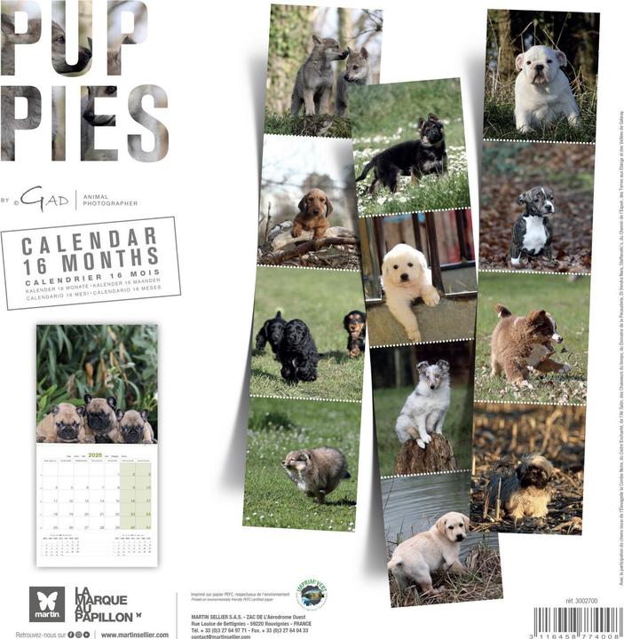 Produktbild Martin Sellier Chiots