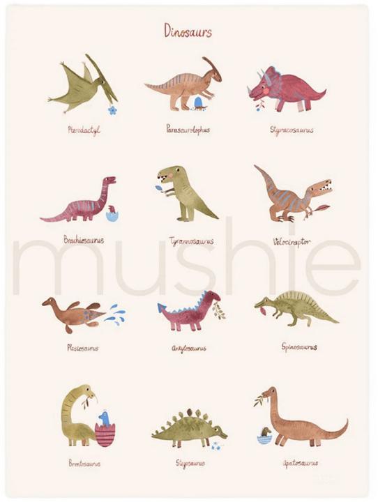 Mushie Dinosaurs A (A3)