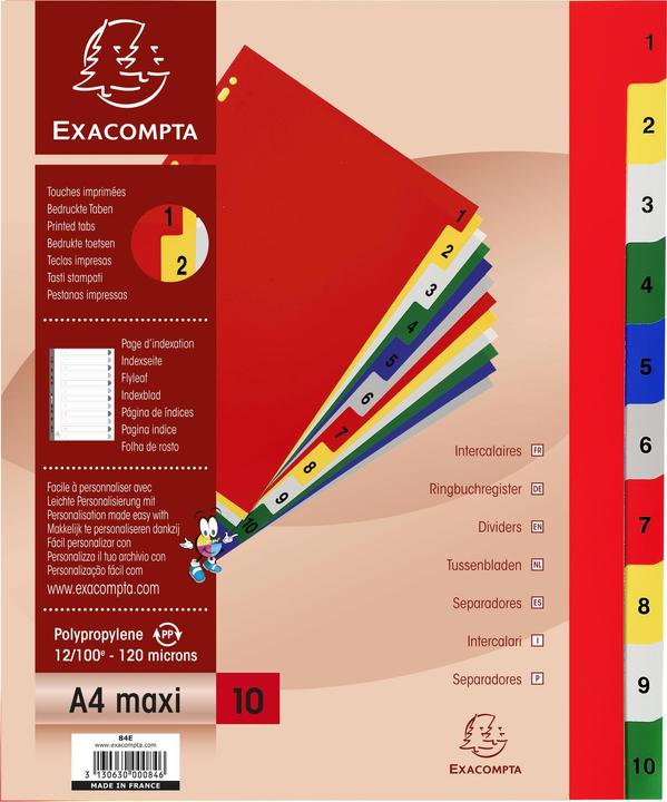 Image du produit Exacompta Intercalaires imprimés numériques PP couleurs 12/100e - 10 positions - A4+ - Assorties vives